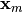 \mathbf{x}_m